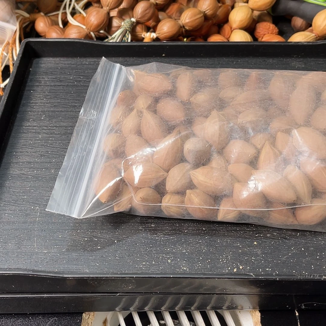 吊坠橄榄核…***仁11111111111