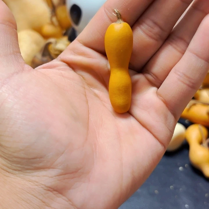 溪*88888888888888888