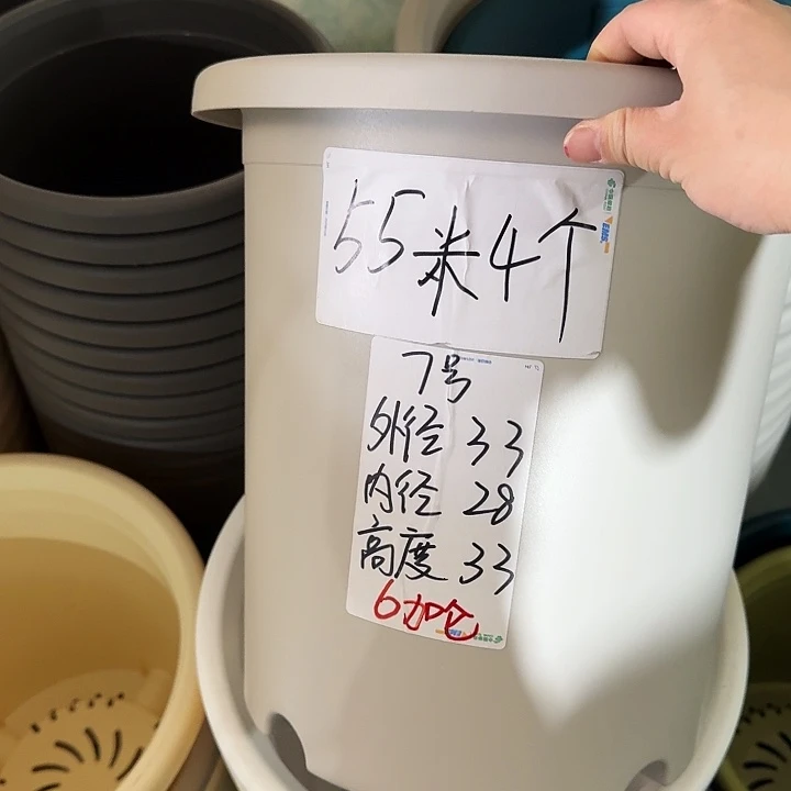 微瑕7#灰白6个无托