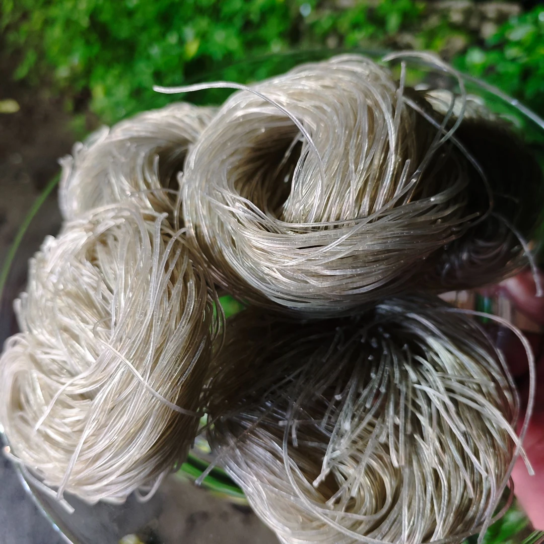 1【红-薯-粉-条】净含量1000g【阿虎现收】