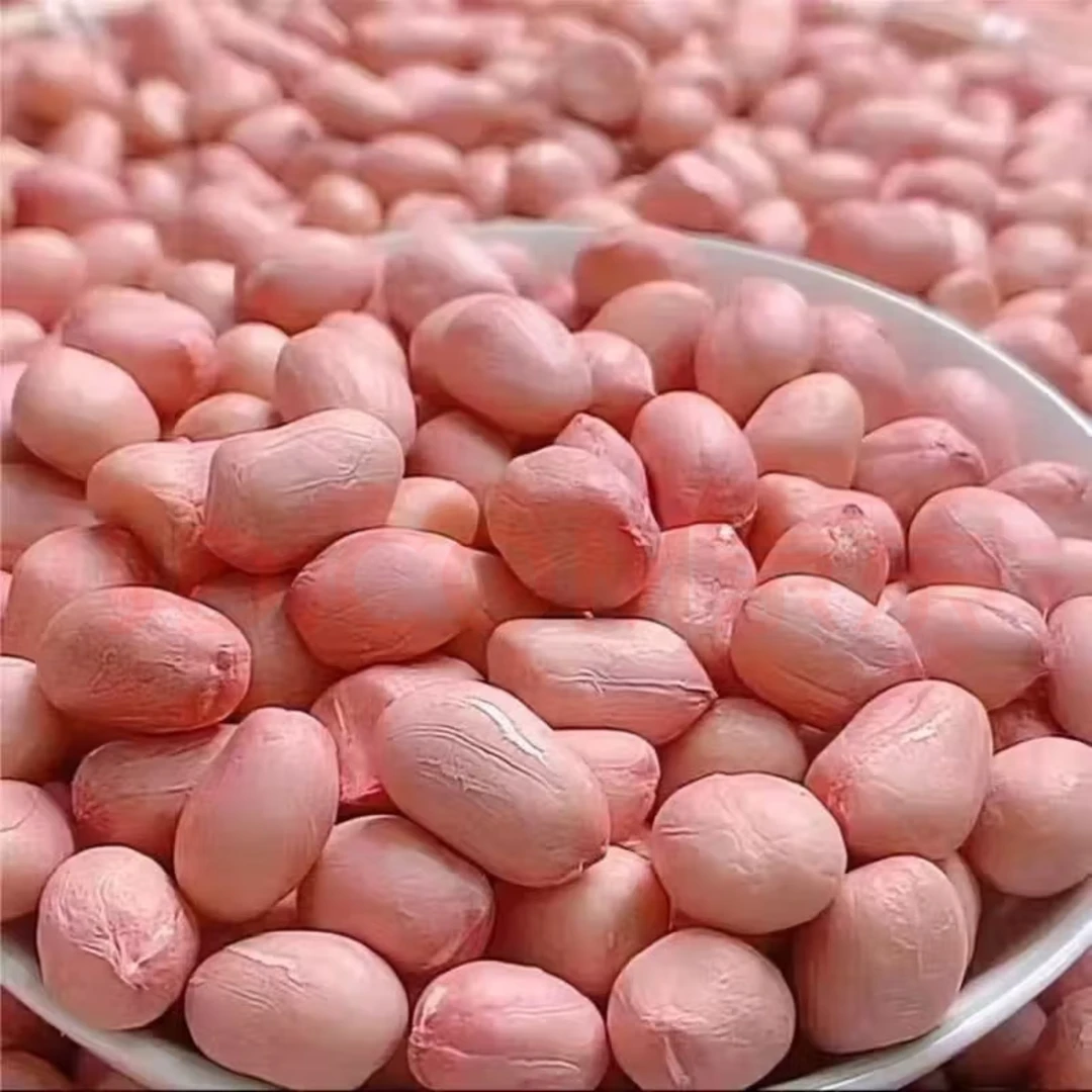 新鲜粉红皮生花生米大颗粒白沙品种无壳新货炒菜新鲜花生米大颗粒