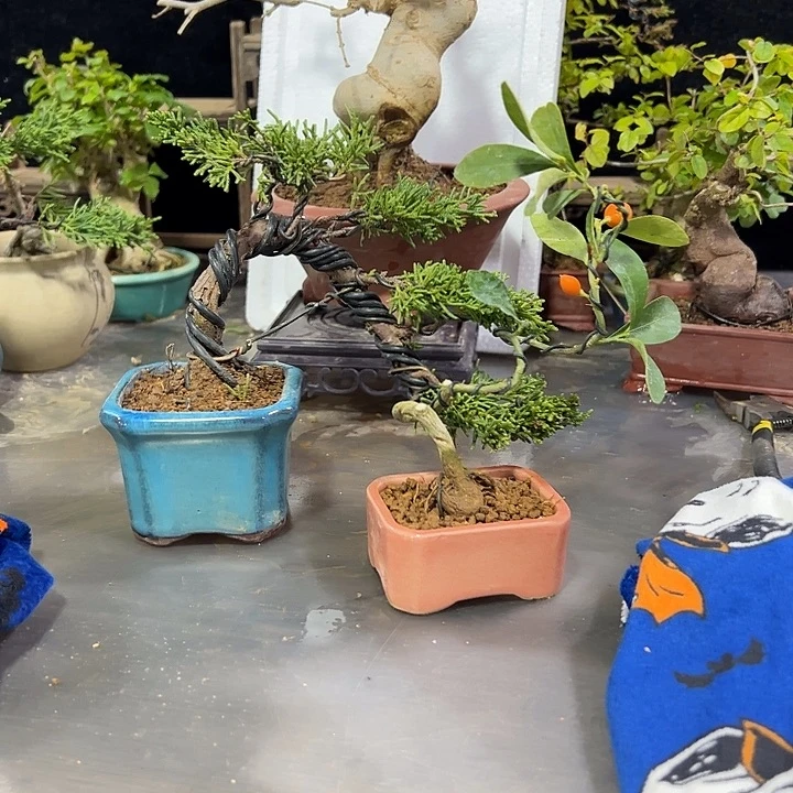 用***4发发发发发发发发