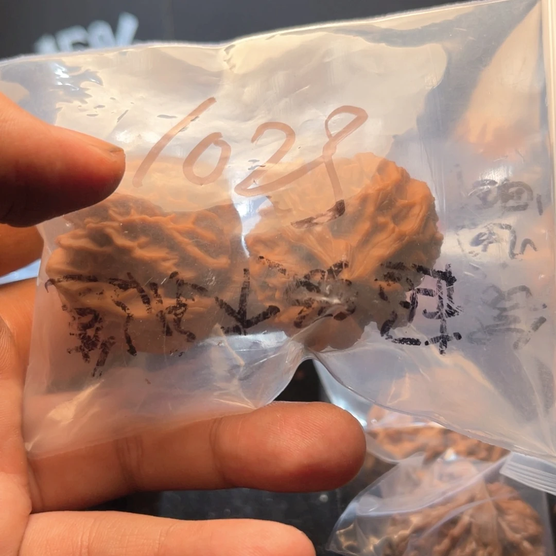 1***3出风风光光哥哥方法非常丰富