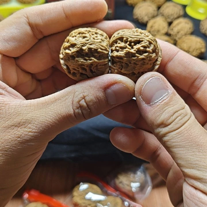 白狮子小手捻卡33