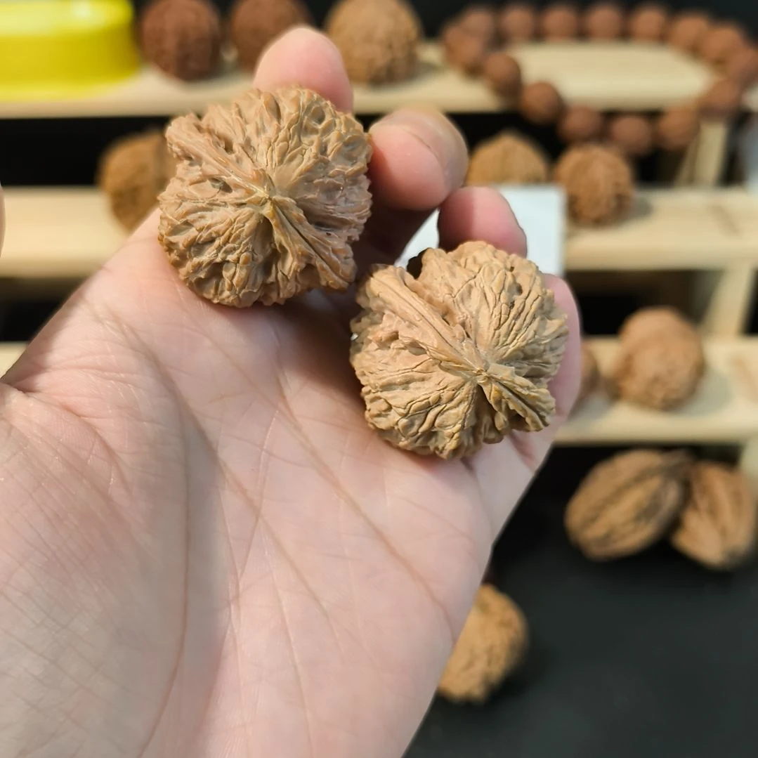 吊坠文玩核桃40白狮子有色差