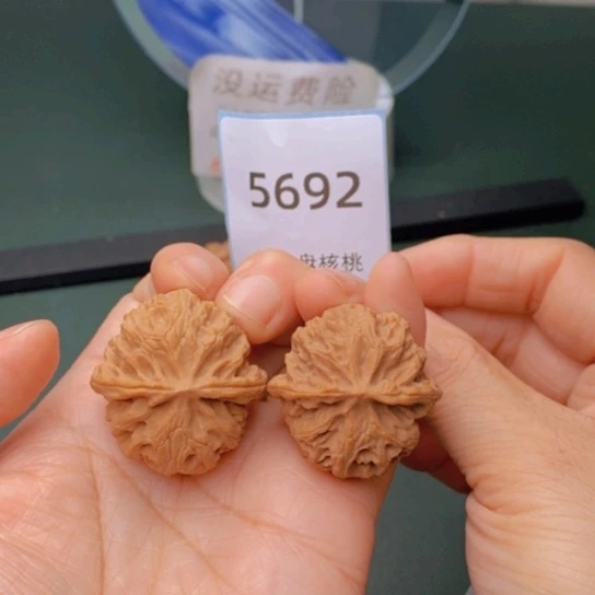 把件文玩核桃33苹果园手捻5692