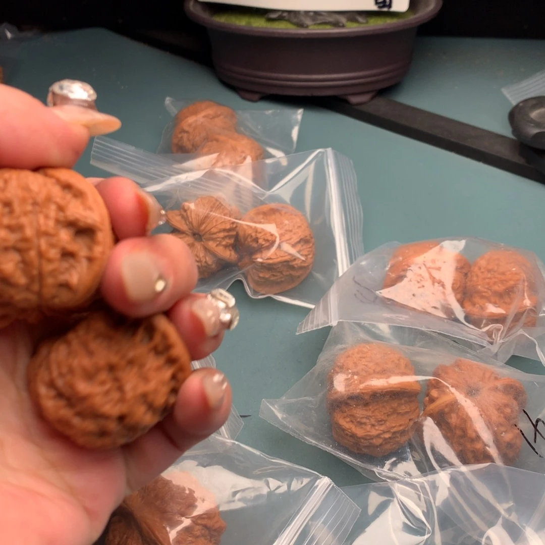 文玩核桃把件血麒麟4041