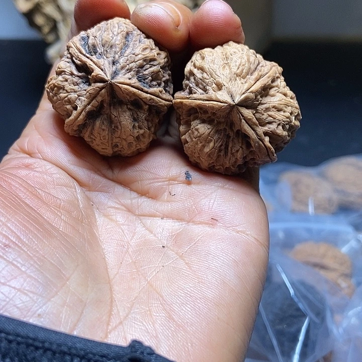 把件文玩核桃云南铁核桃基地62