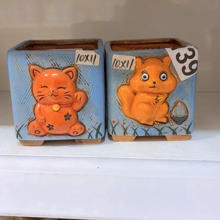 多肉花盆满15包邮，爱退款拉黑