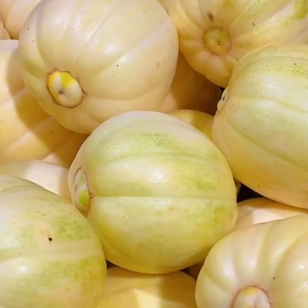 （欣莉姐优选）大庆头茬香瓜甜瓜3斤送半斤共3.5斤新鲜现摘包邮次日达黑龙江省