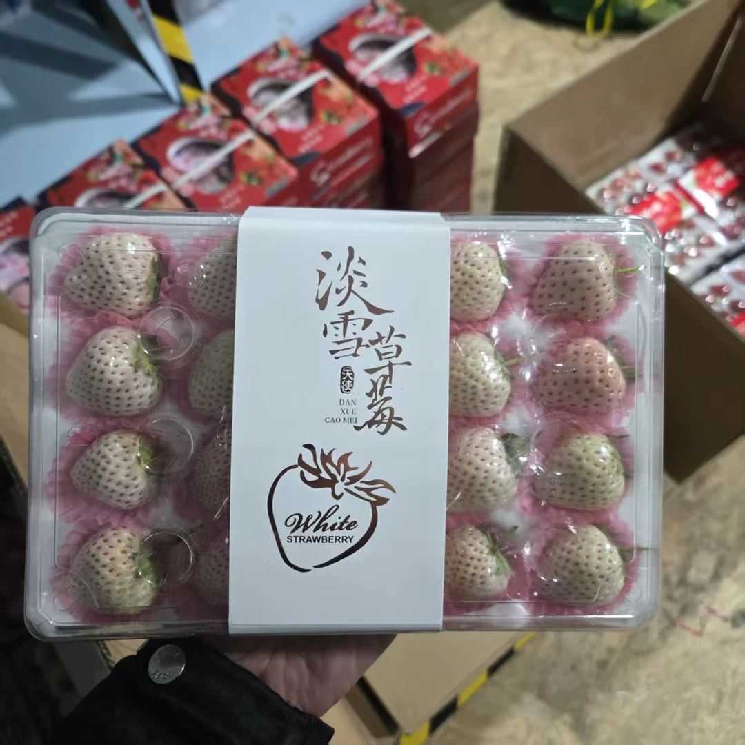 淡雪白草莓（20颗/盒）1盒/2盒/4盒