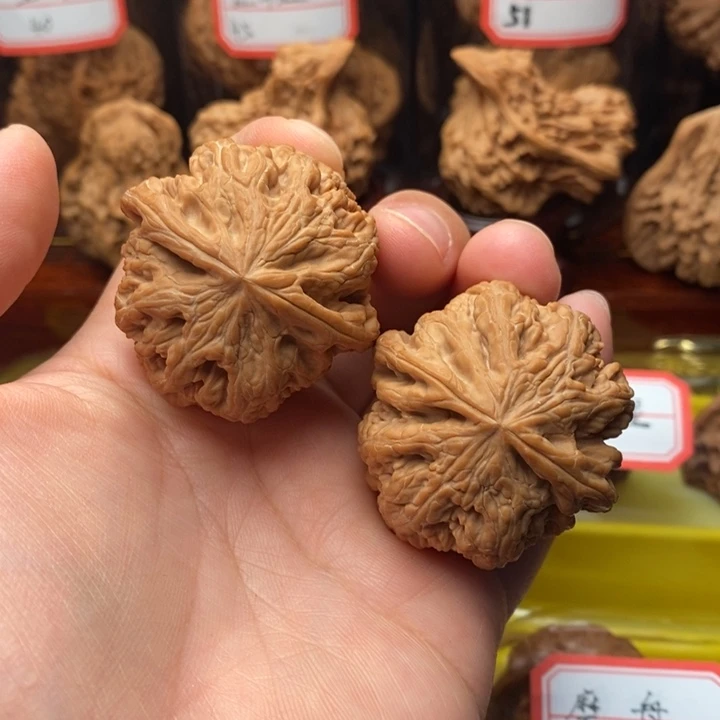 核桃麻核桃大粗筋40尺