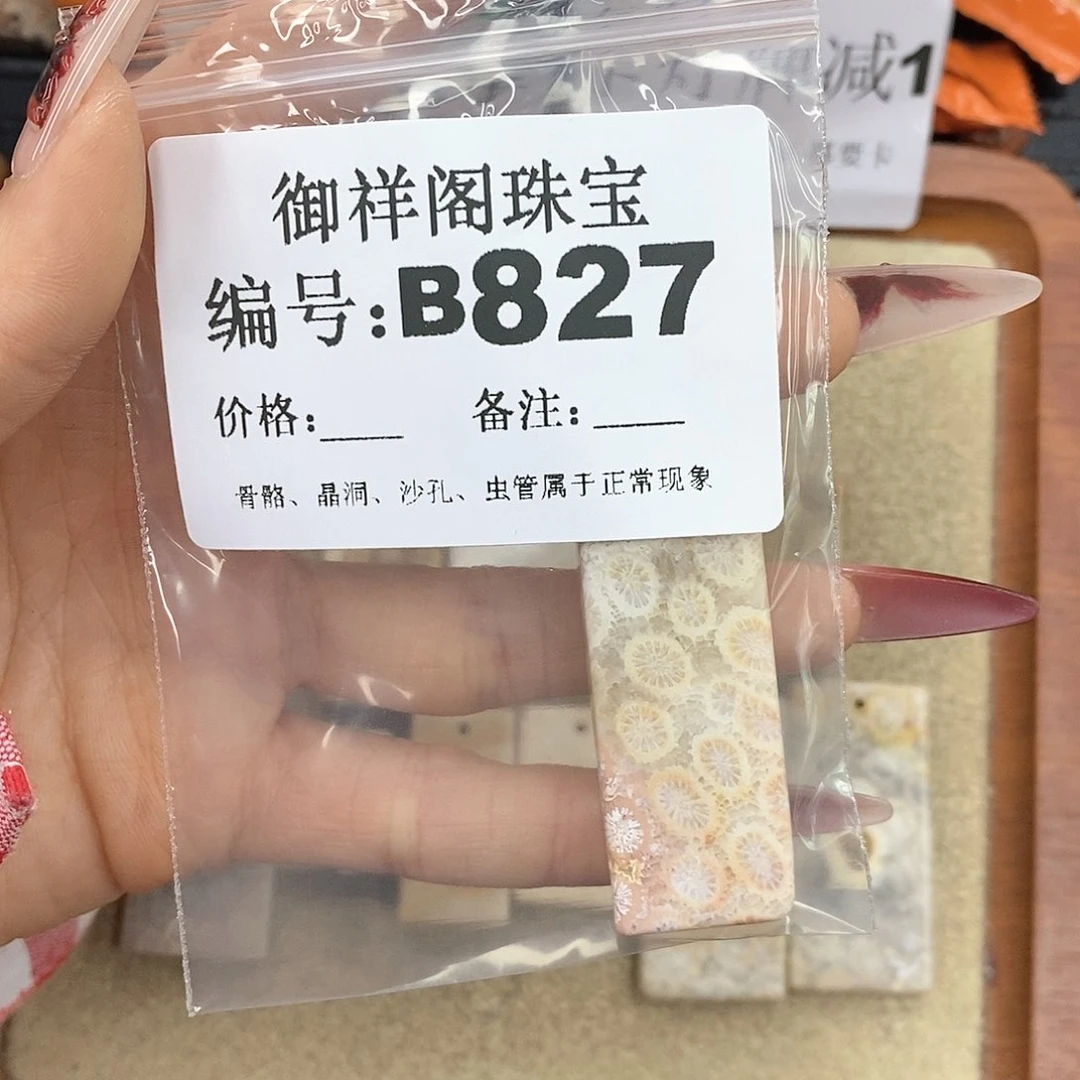 硅化珊瑚（珊瑚玉）颈饰未镶嵌E****.