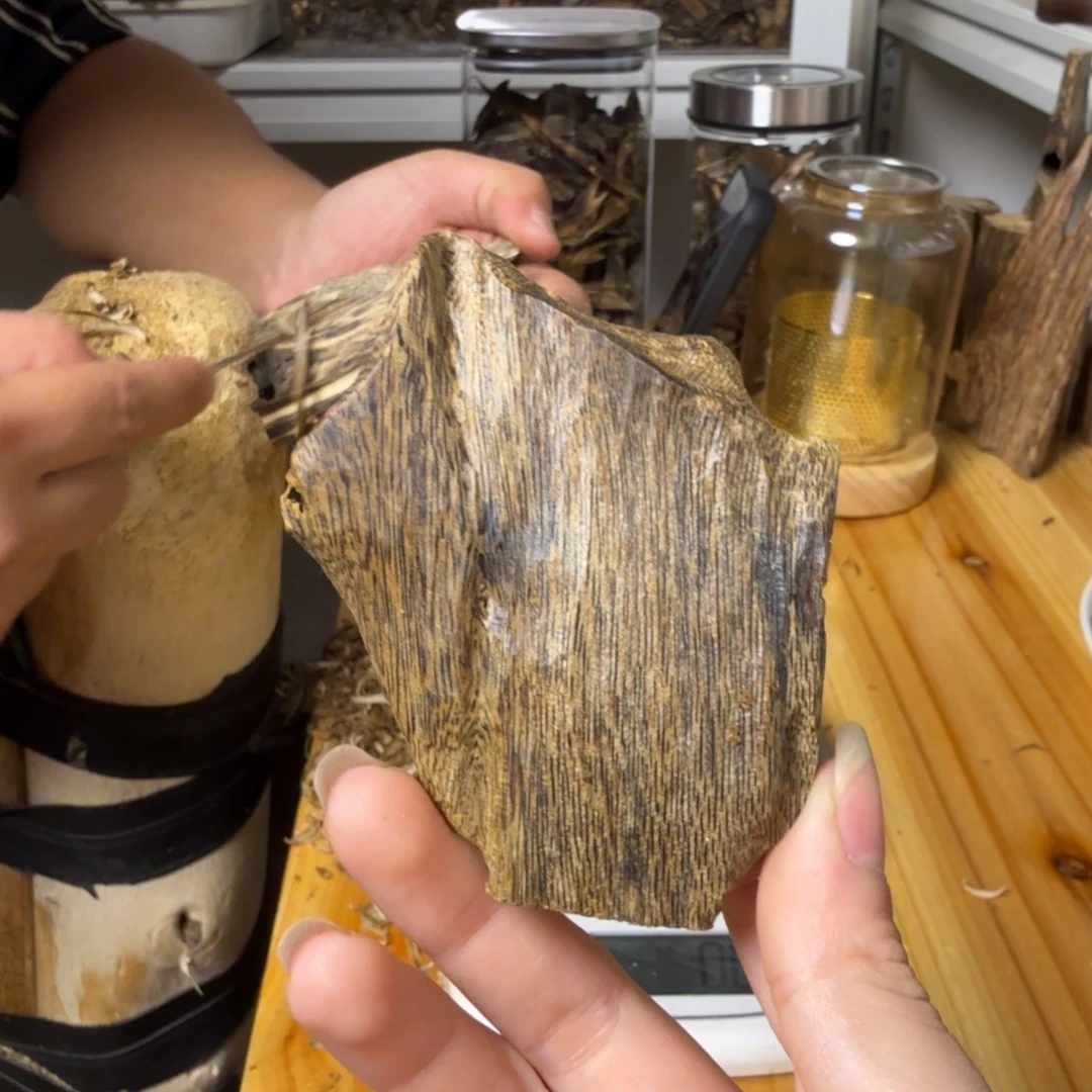 沉香白露虫漏香18克