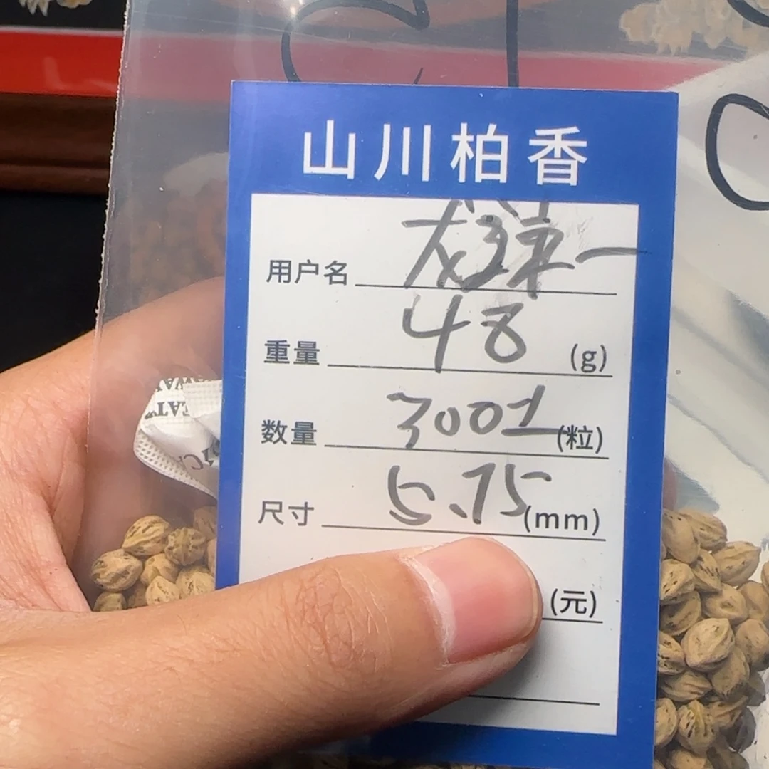 龙***一柏香籽/百香籽吊坠