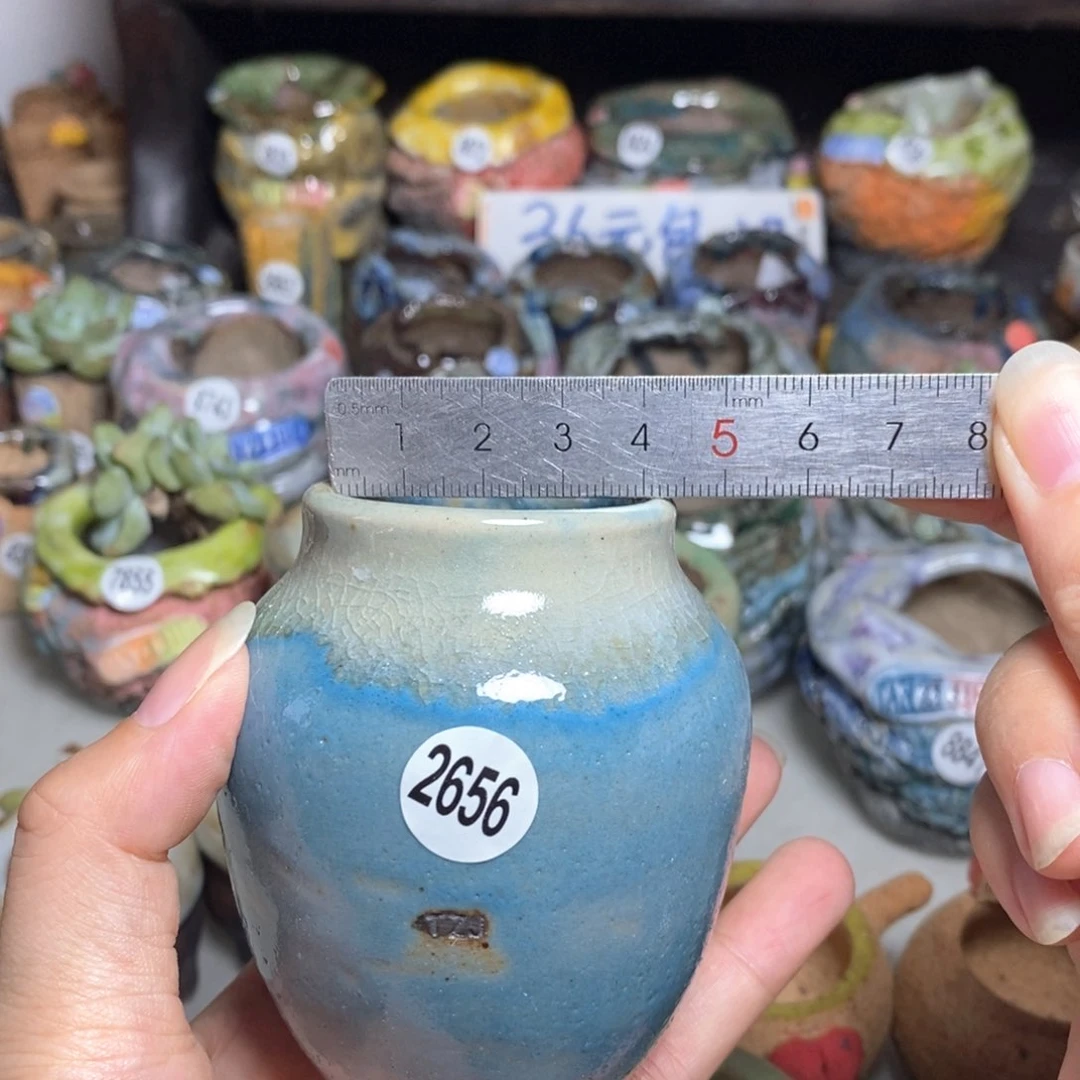 拍3送一个小礼物
