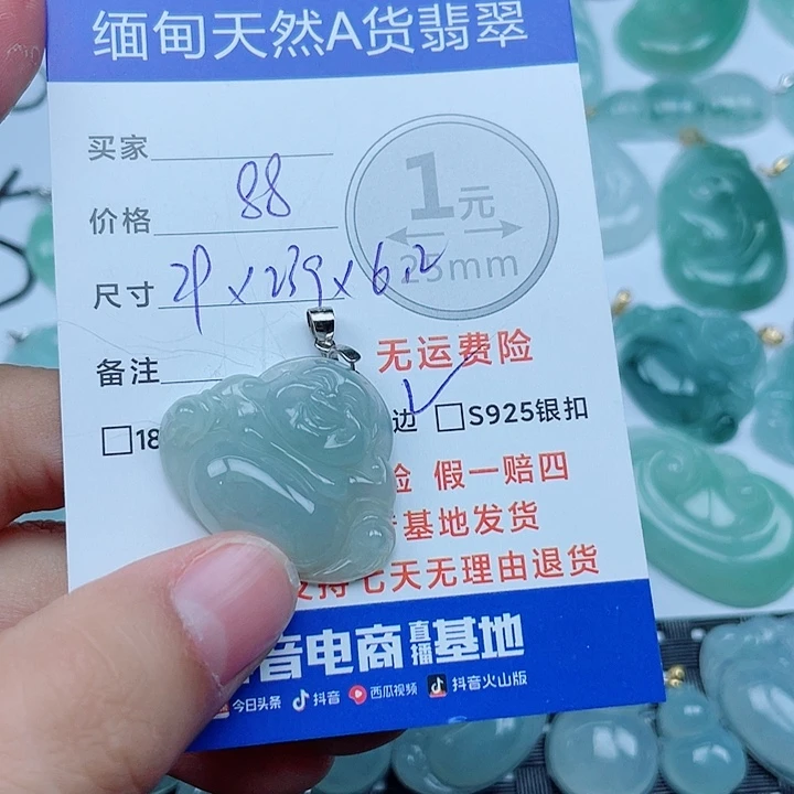 翡翠银S925镶嵌颈饰翡翠