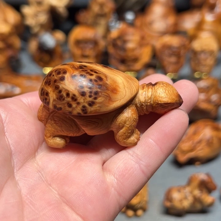柏木（崖柏）点点关注