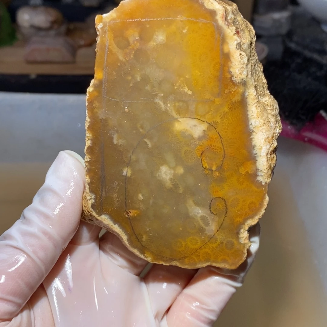 【闪购商品】硅化玉珊瑚玉未镶嵌