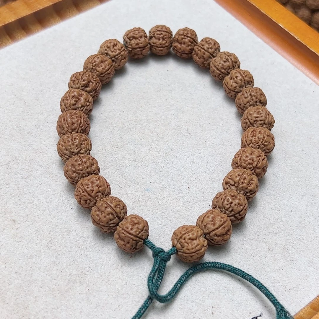 好***气勿里达纯血老树王