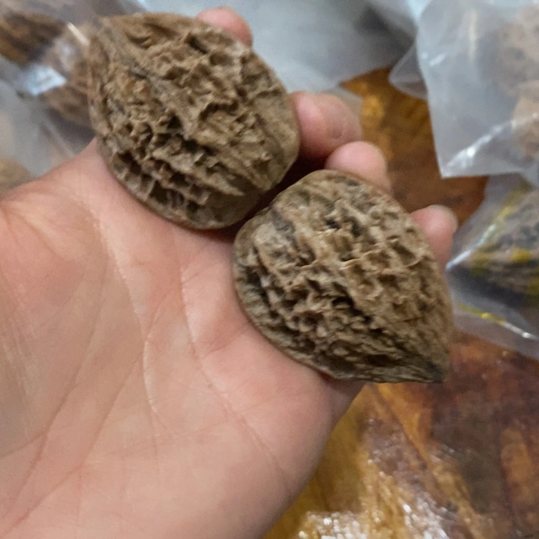 秦岭野生核桃鸡心