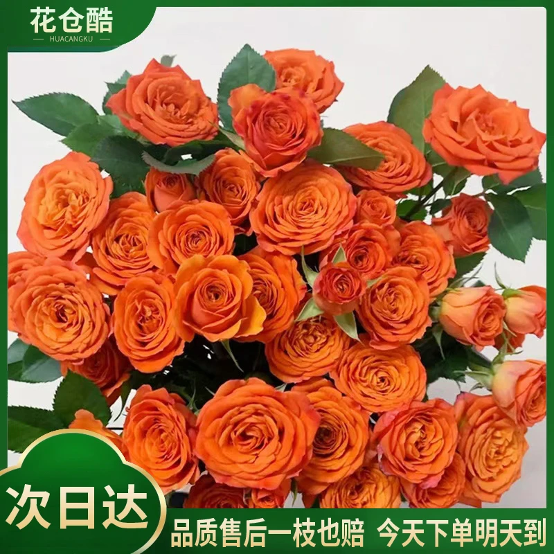 ❥【特价·橙色芭比】5枝多头玫瑰泡泡好养护花期长生活鲜花切花物流配送上门直播次日达满两份包邮送保鲜剂