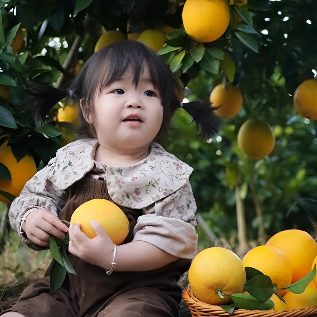 正宗江西赣南脐橙 橙子