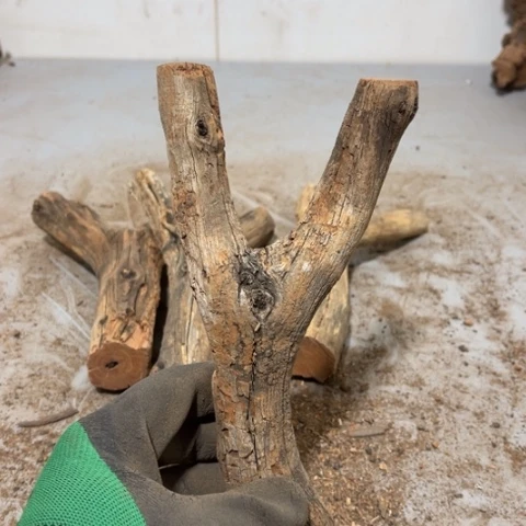 大果紫檀（缅甸花梨）N*