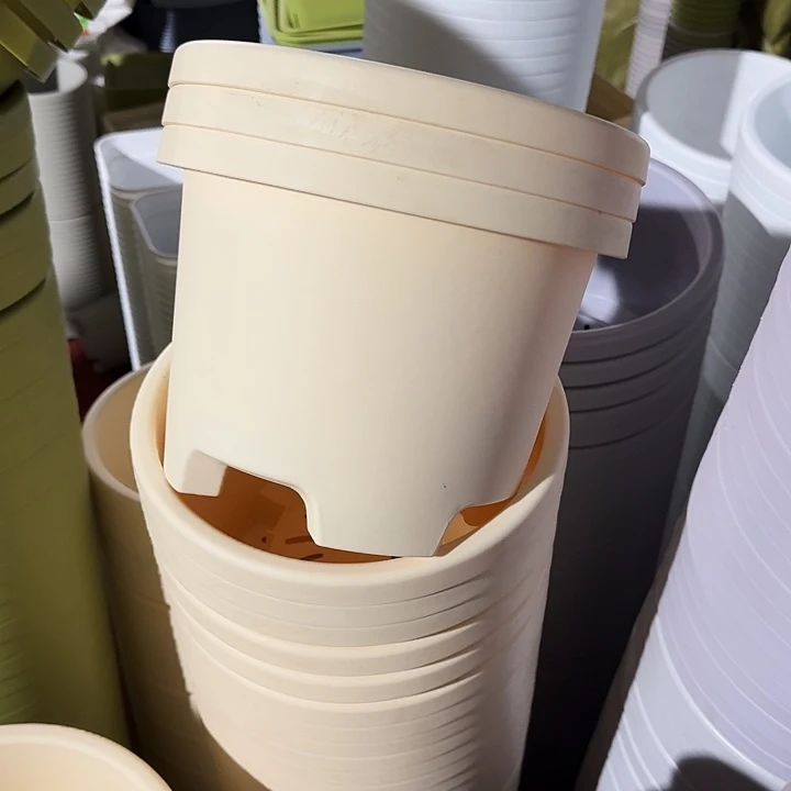 球根26口径6个无托米黄