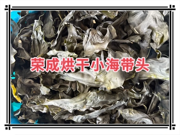 荣成烘干小海带头