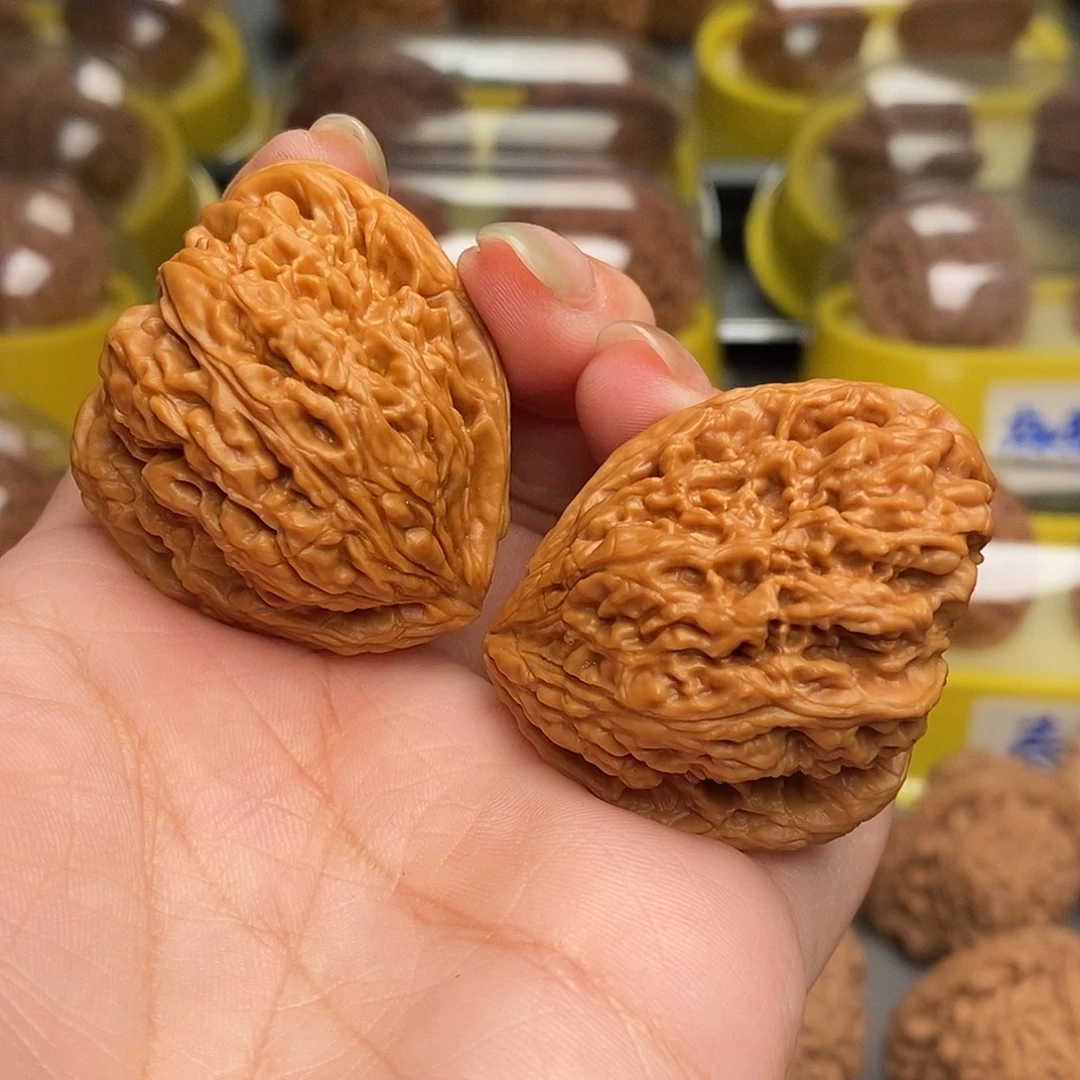 木质类南疆石天使之翼