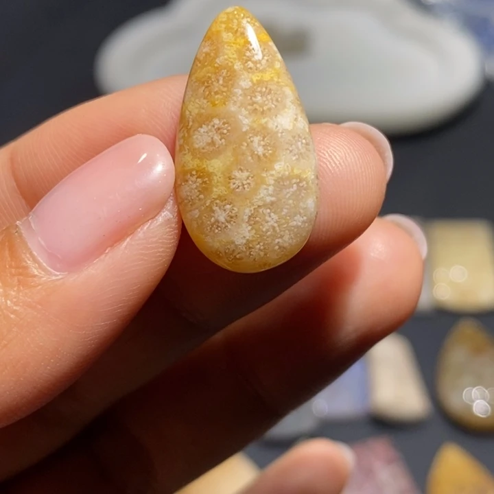 【闪购商品】未镶嵌珊瑚玉硅化玉