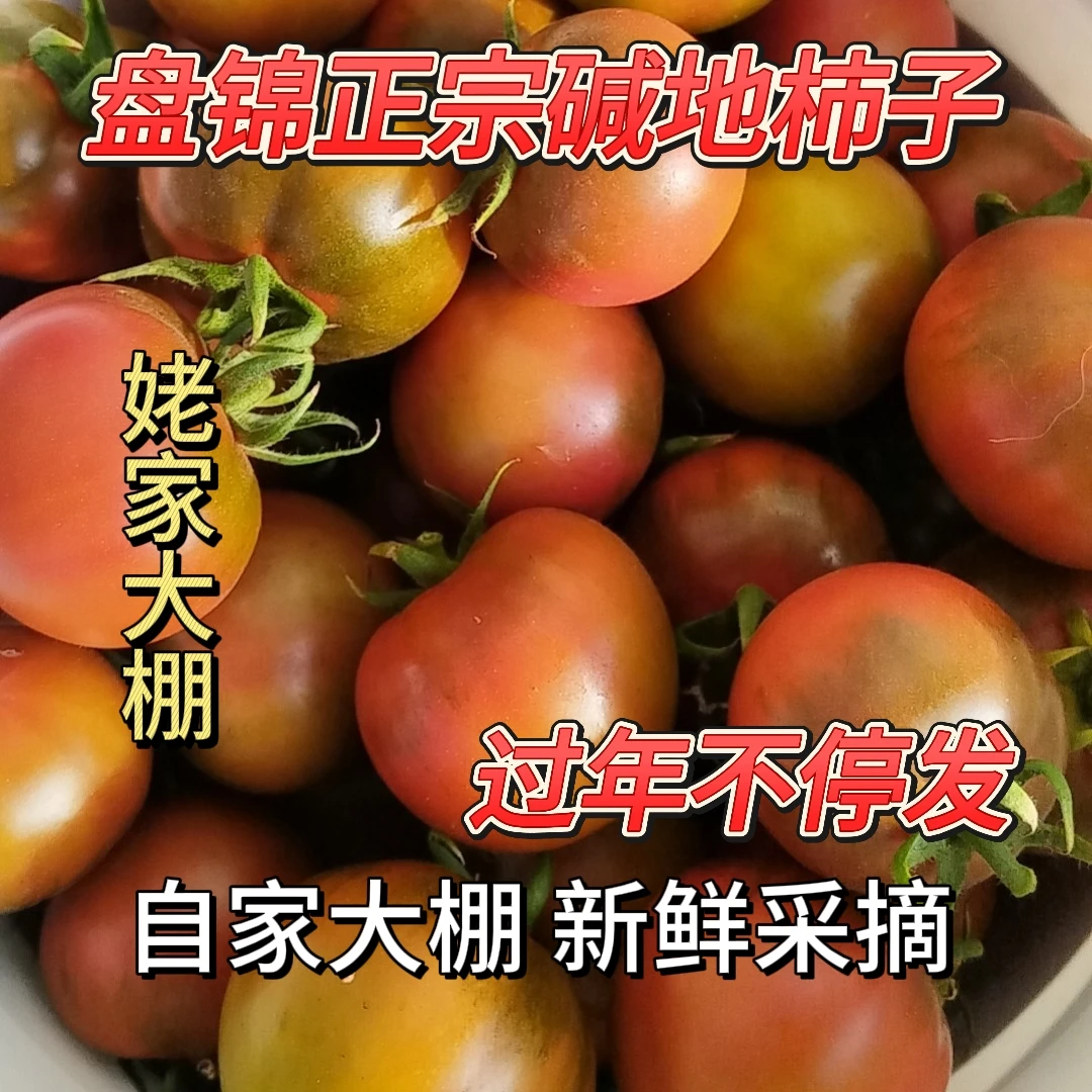 盘锦碱地柿子《5斤装净重》中小果  1两-1.2两到手45左右