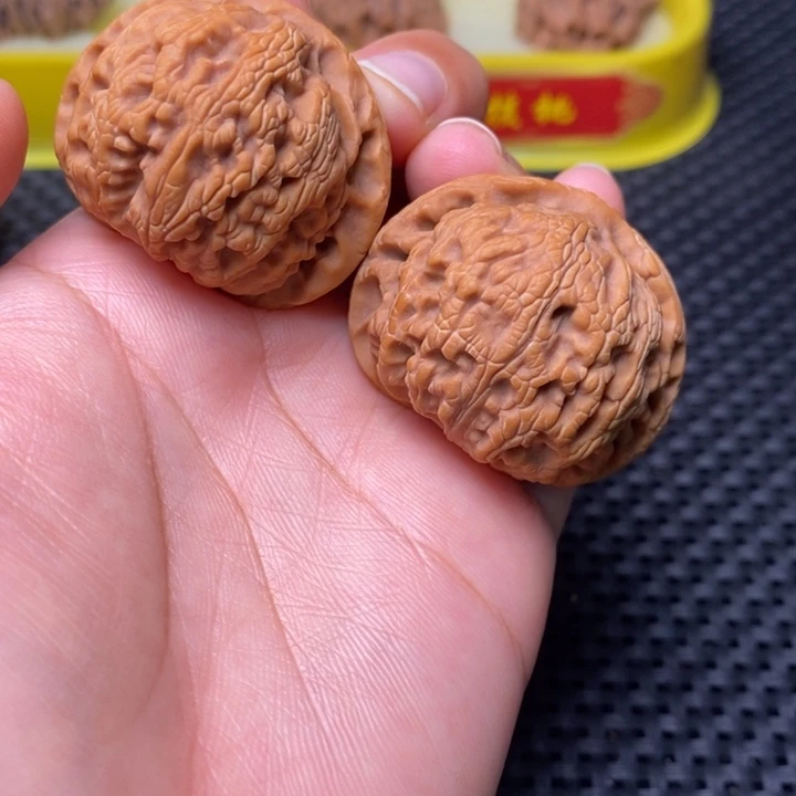 秦岭野生11111111111111