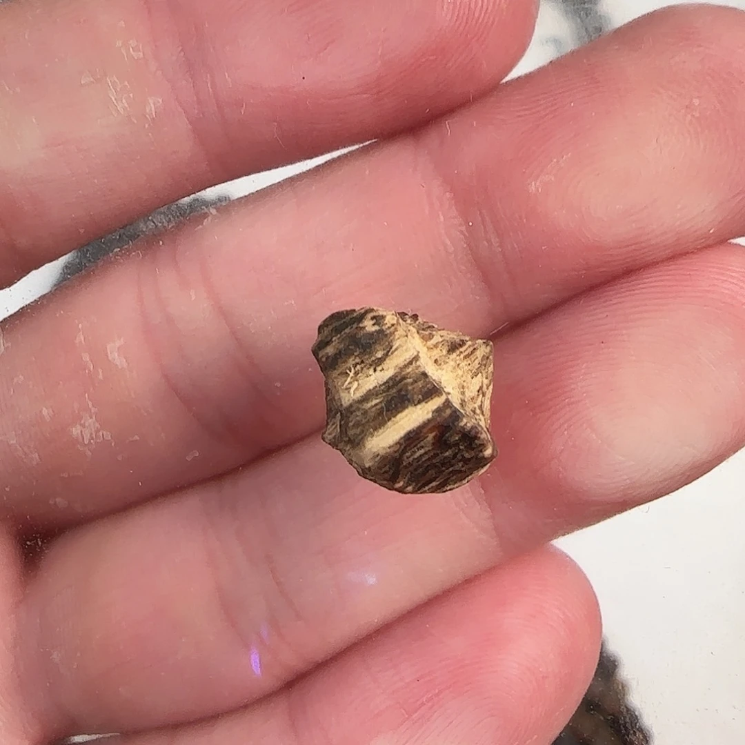 沉香手串海南野生绿棋0.4g