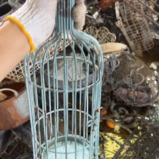 哈哈哈哈哈可爱哈哈哈