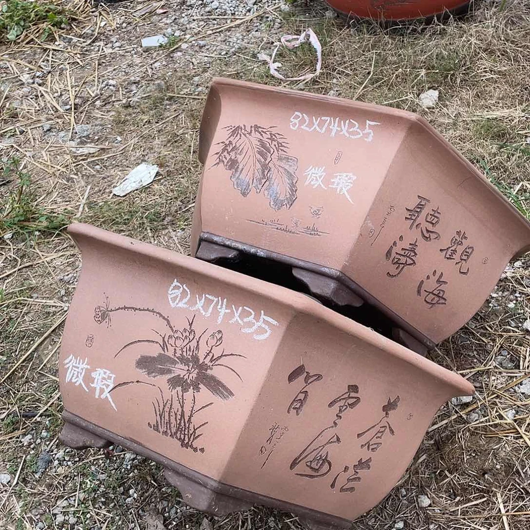 微瑕处理紫砂两只