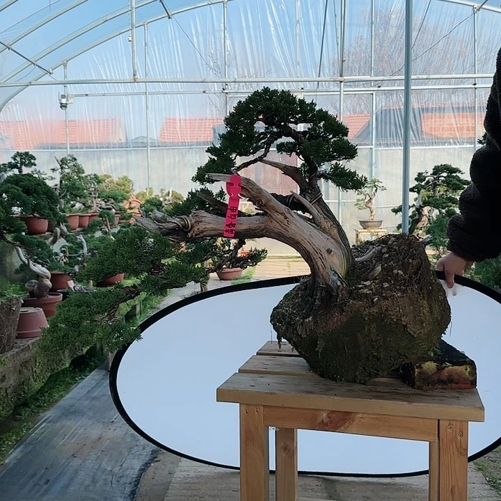 完全开放精品记住，正版你好