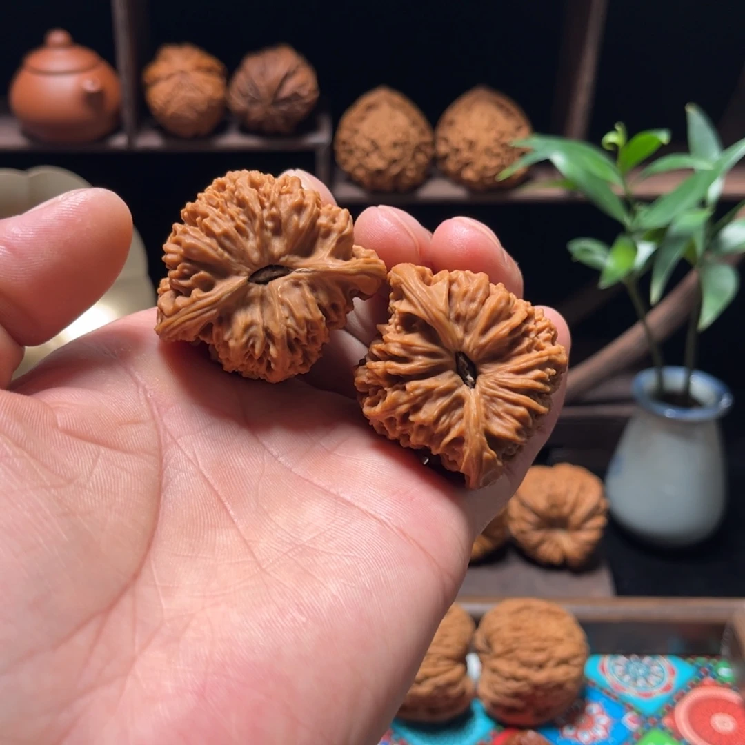 文玩核桃吊坠45大龟背