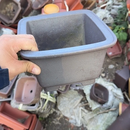 这就是为什么不可以说呢还是因为这个事情