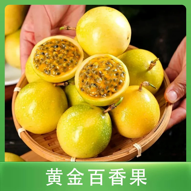 正宗黄金百香果18个装50-60g新鲜饱满时令水果果味浓郁