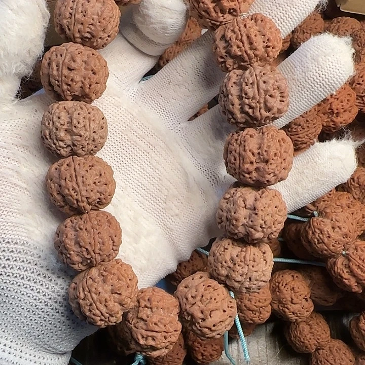 金刚菩提姜黄皮金刚