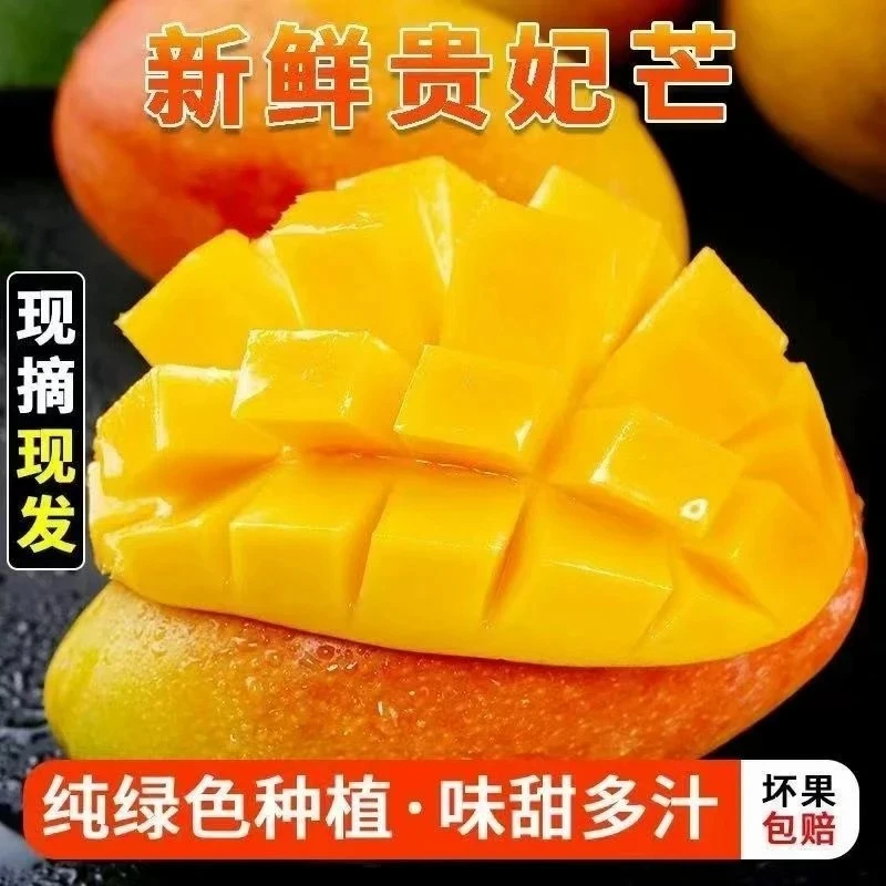 【催熟食用】正宗贵妃芒整箱新鲜芒果甜心芒jj