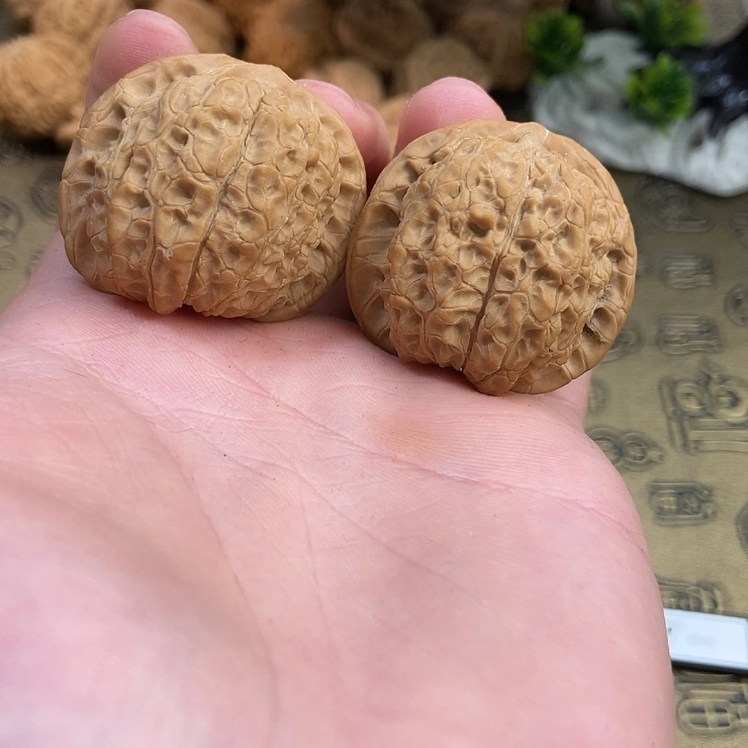 核桃血麒麟38尺寸编号9297全品无修走色漂亮上色快