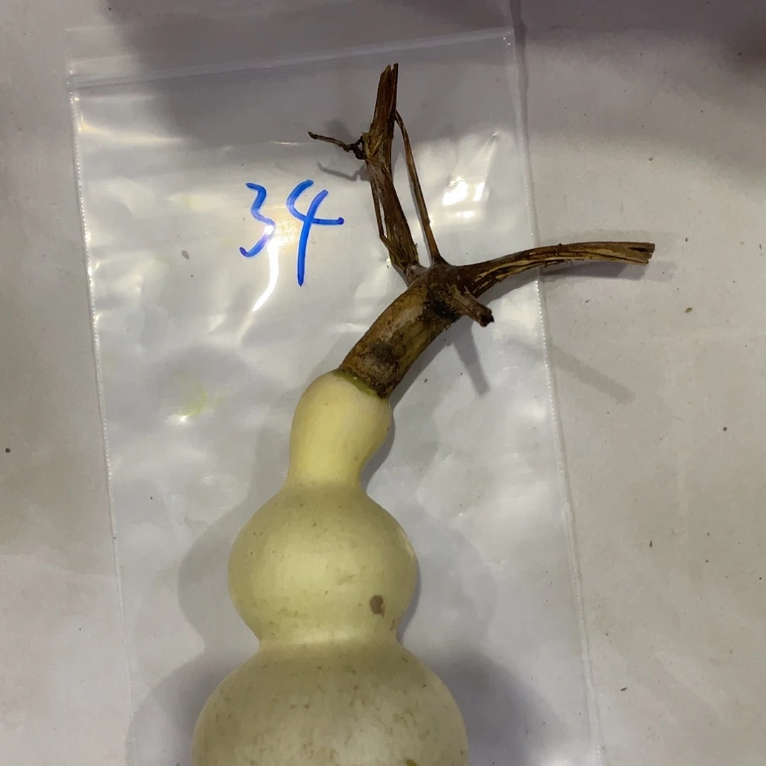 乾***坤过哈哈哈哈哈健康和v个