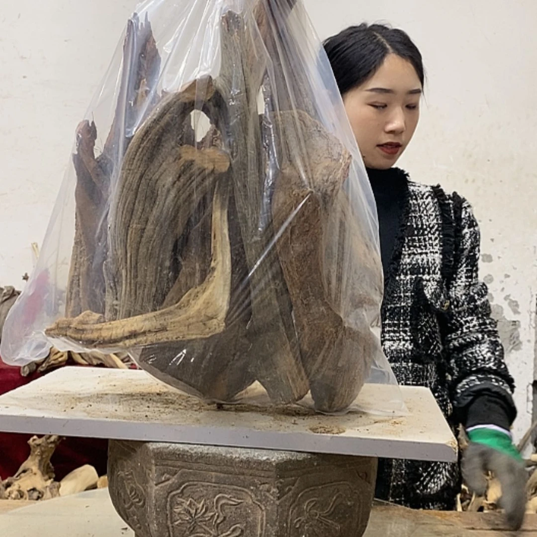 【闪购商品】柏木小*我们都是好孩子