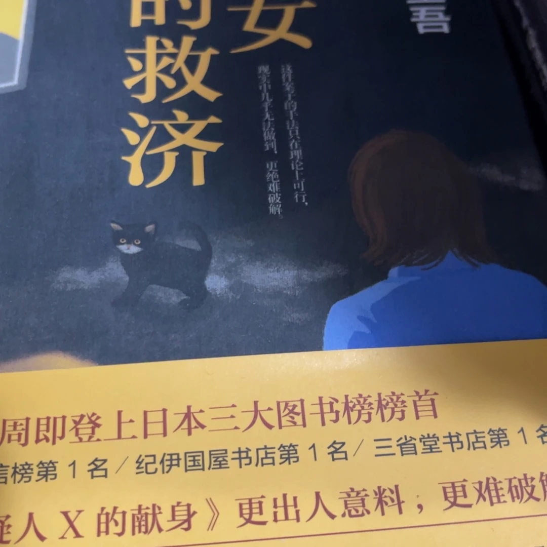 圣女的救济精装一个