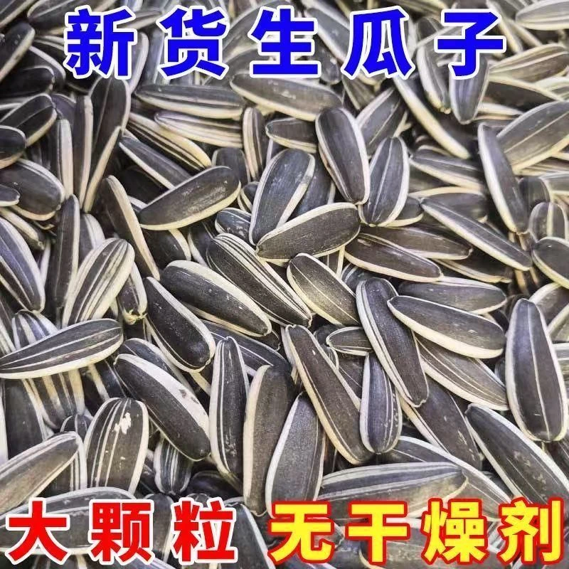 今年新瓜子新货生瓜子大颗粒原味瓜子内蒙新鲜葵花籽A+