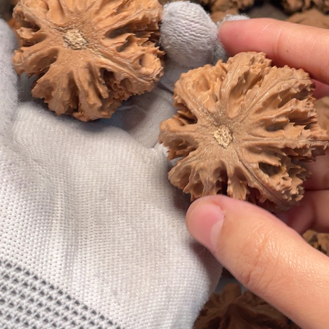 明***哥桃核吊坠8 秦岭灯笼野生小众