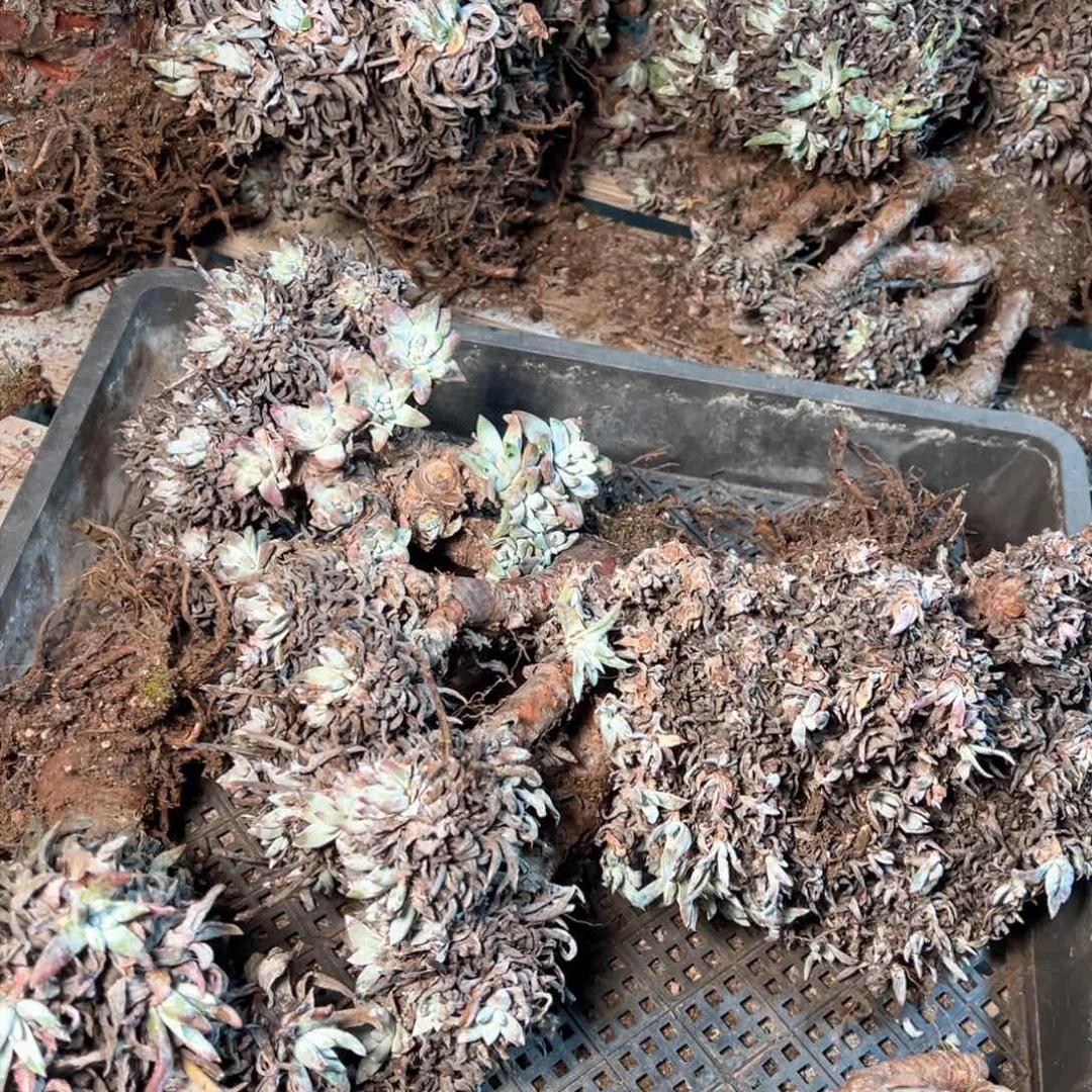 7530哈哈哈哈哈哈哈哈